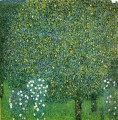 Rosen unter Bäumen Gustav Klimt